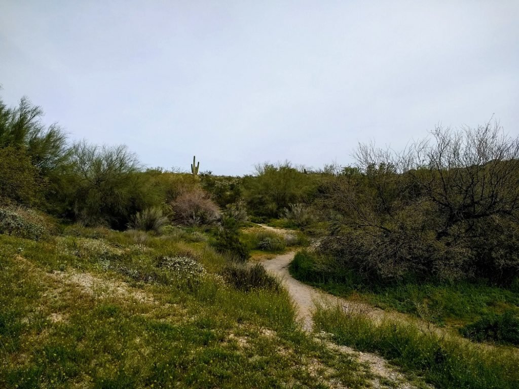 Hiking trail on Squaw Mt. in Phoenix