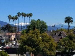 snow and palm trees in Southern California March 2019