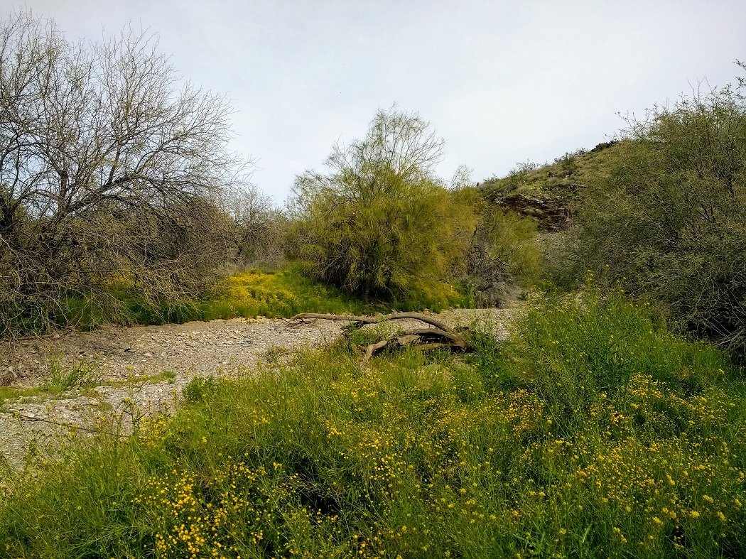 Avoid Scottsdale. Take a hike instead.