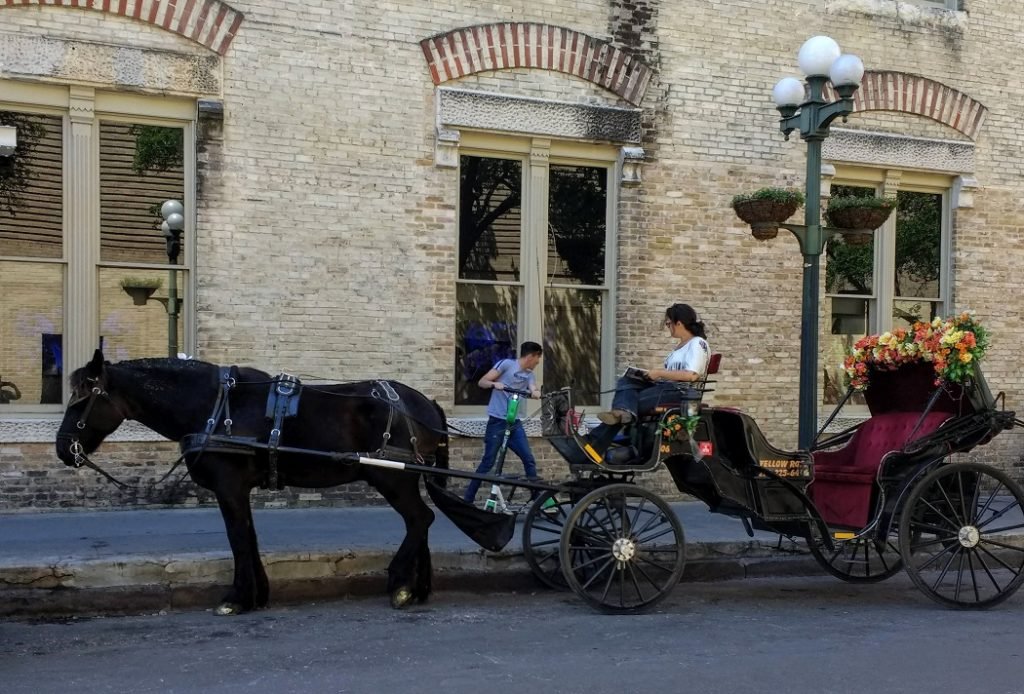 18th century landau carriage San Antonio