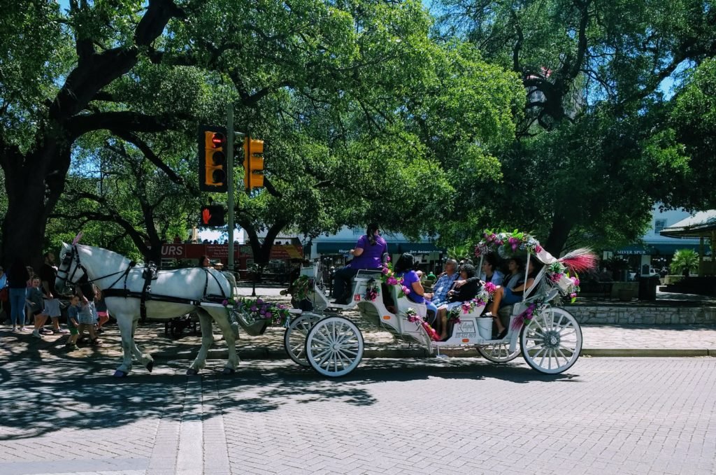 white landau San Antonio