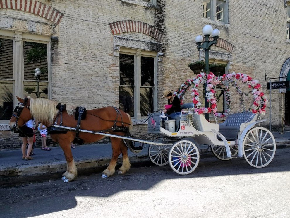 Flowery carriages, Lime scooters and pink boats in Texas