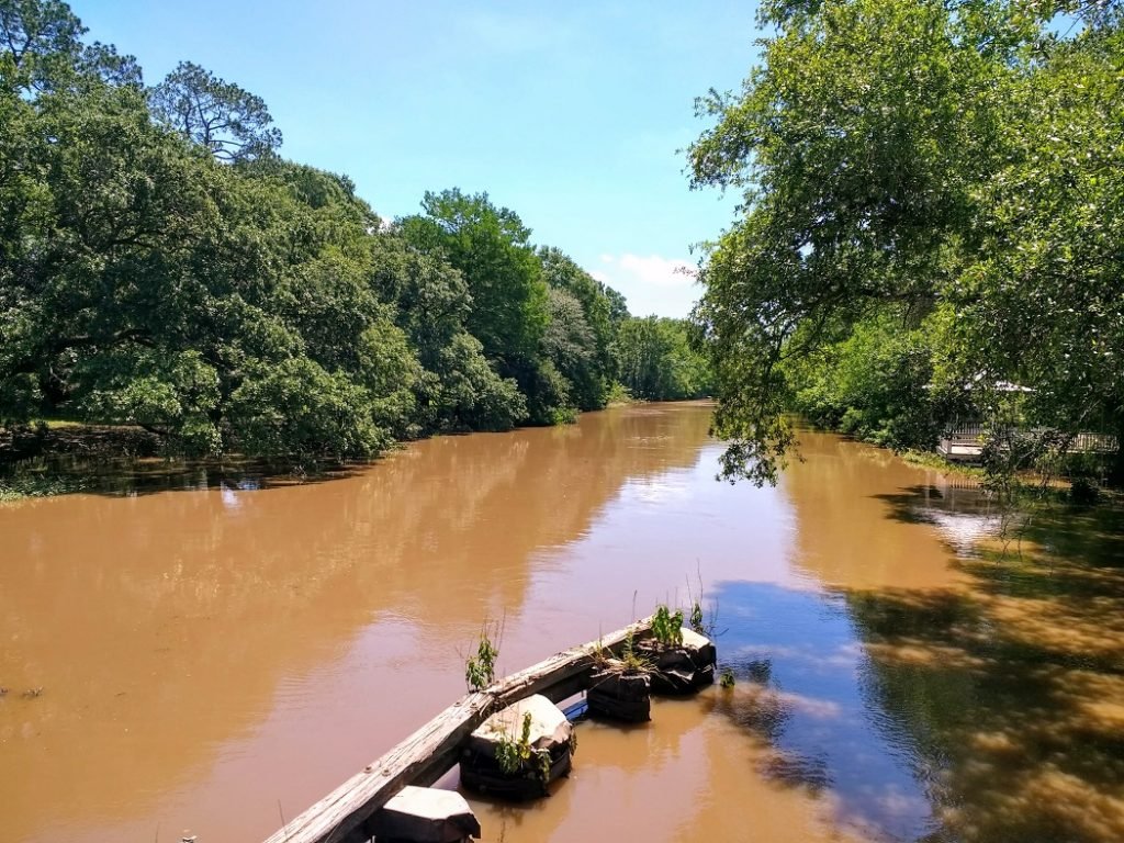 Bayou Teche