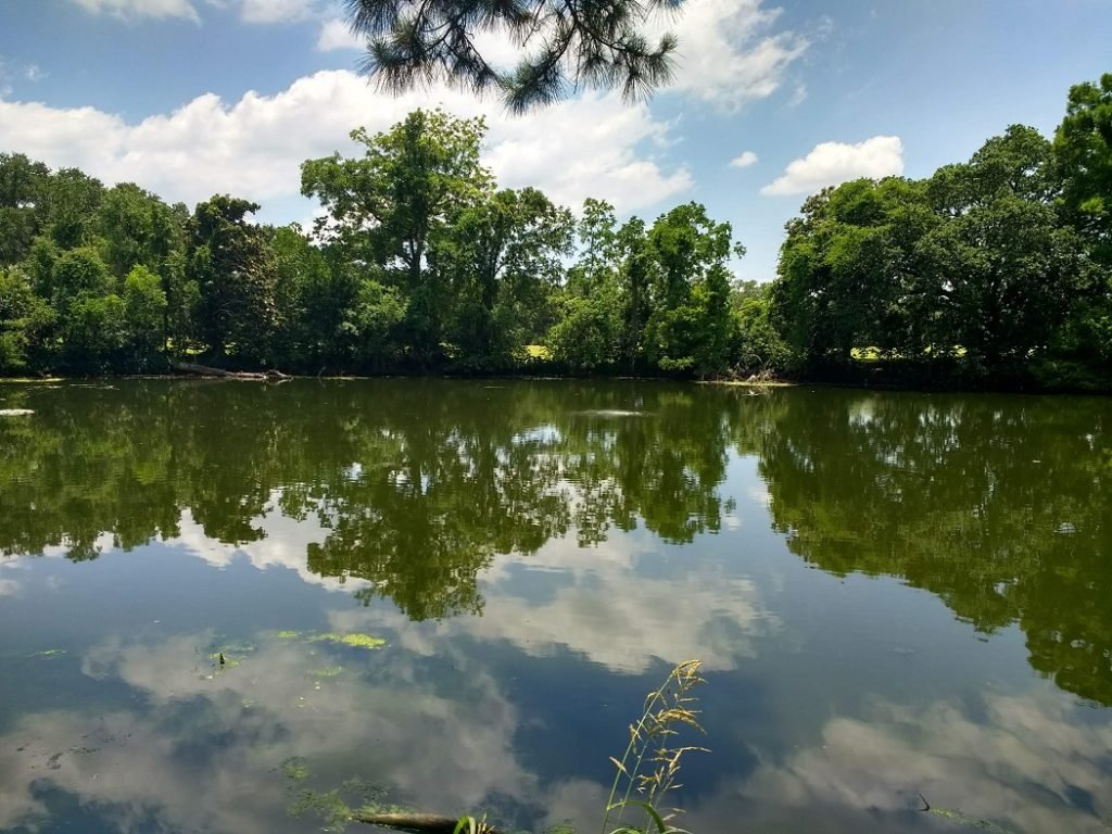 sky reflected in bayou New Orleans