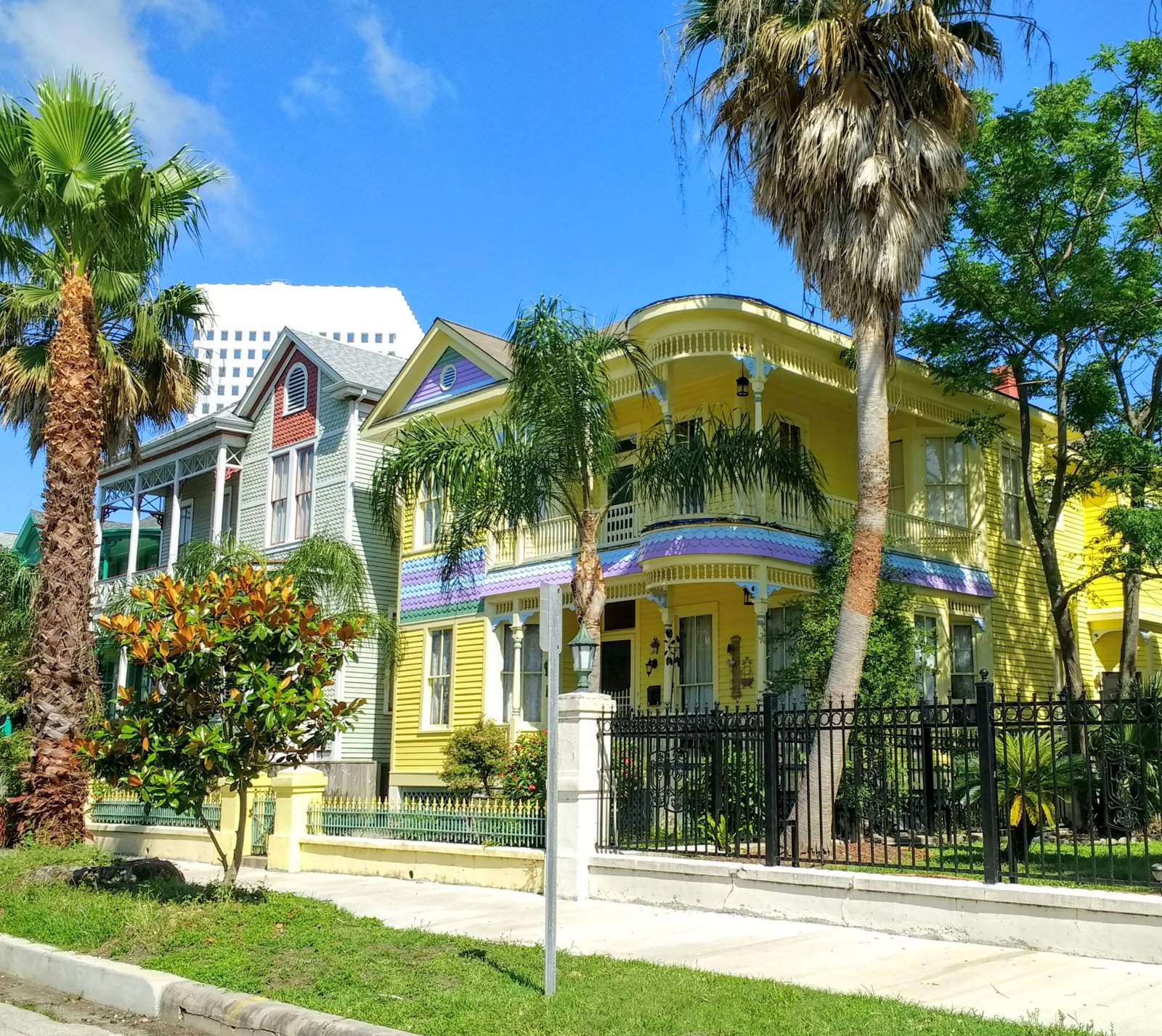 Painted Ladies and hurricane survivors