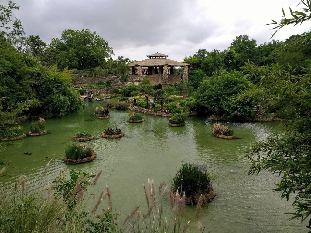 plant islands in the tea garden ponds