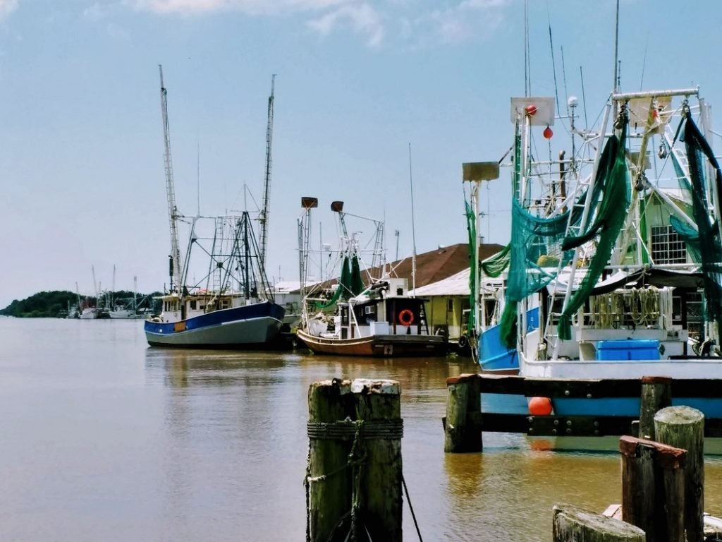 shrimp boats on Delcambre canal