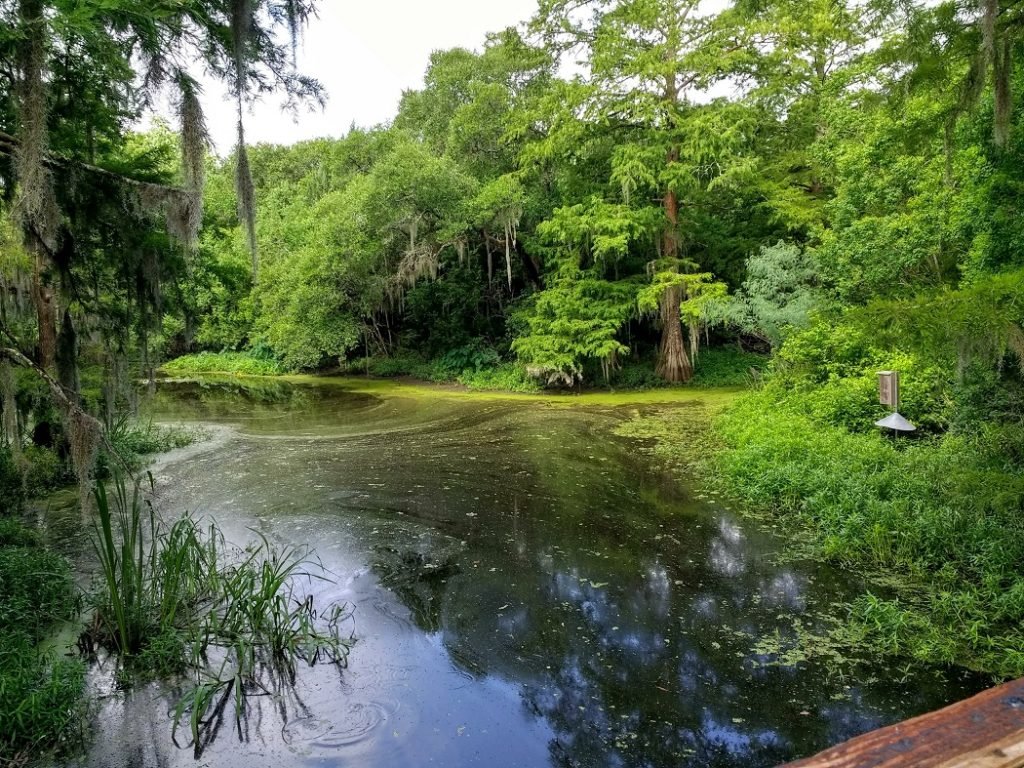 bayou at Evangeline Longfellow historic site