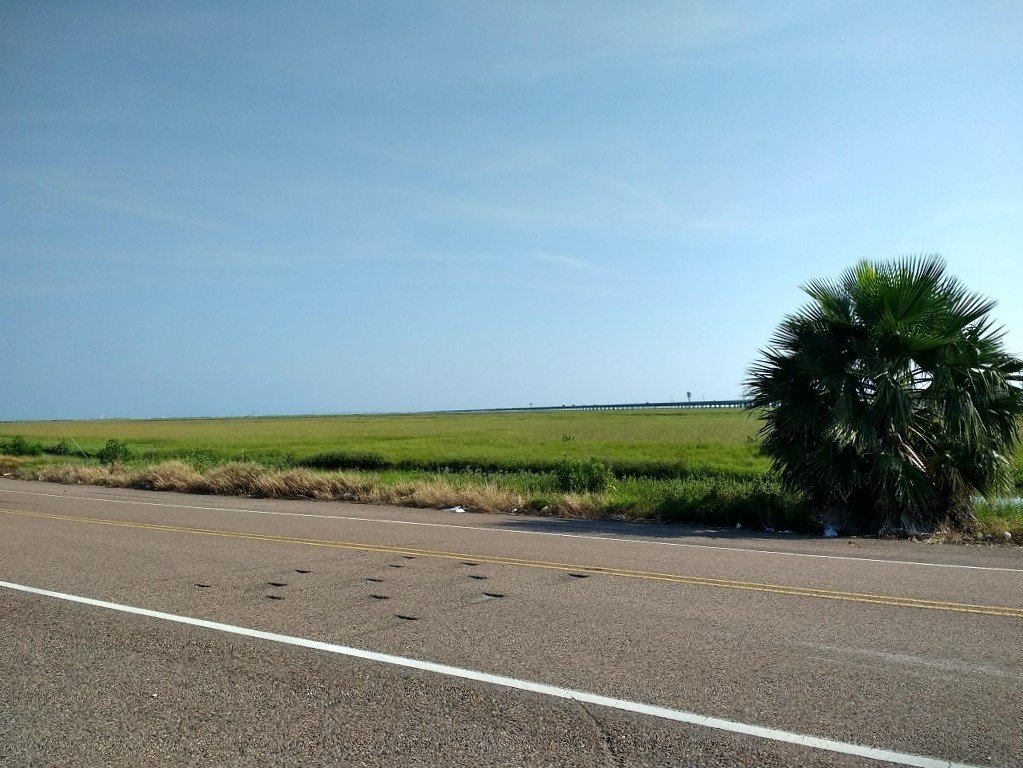 grass swamps near Fourchon LA