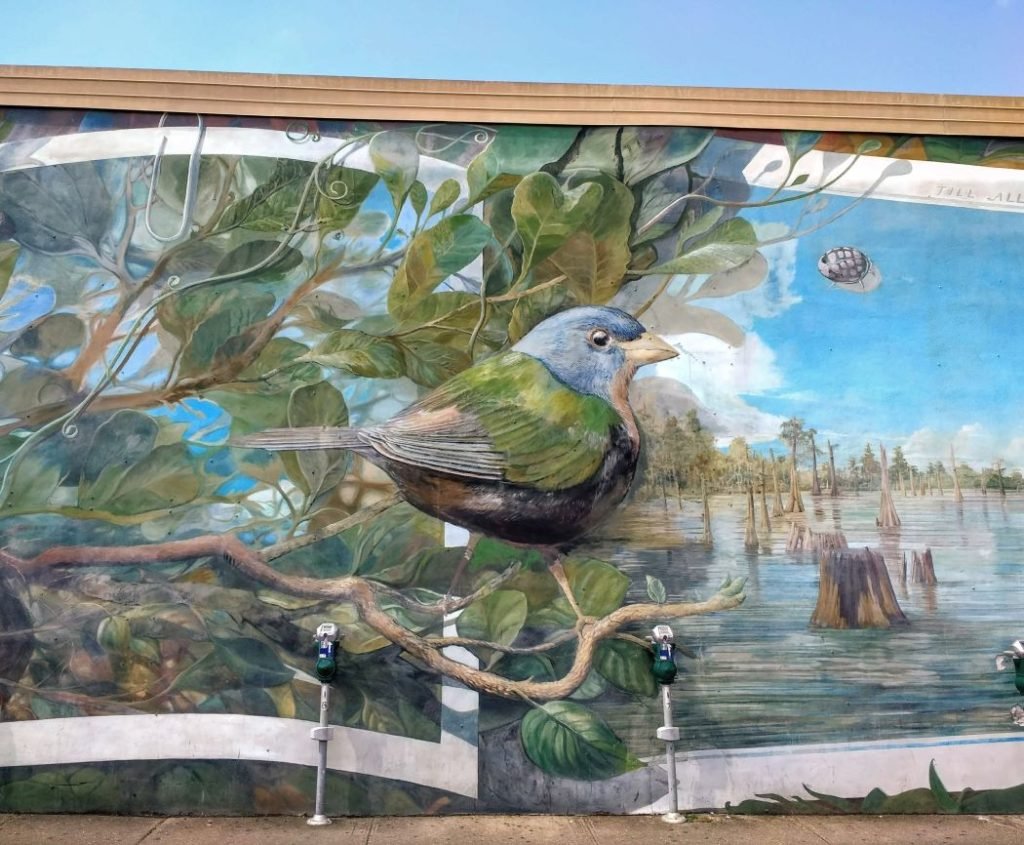 blue bird mural Lafayette Louisiana