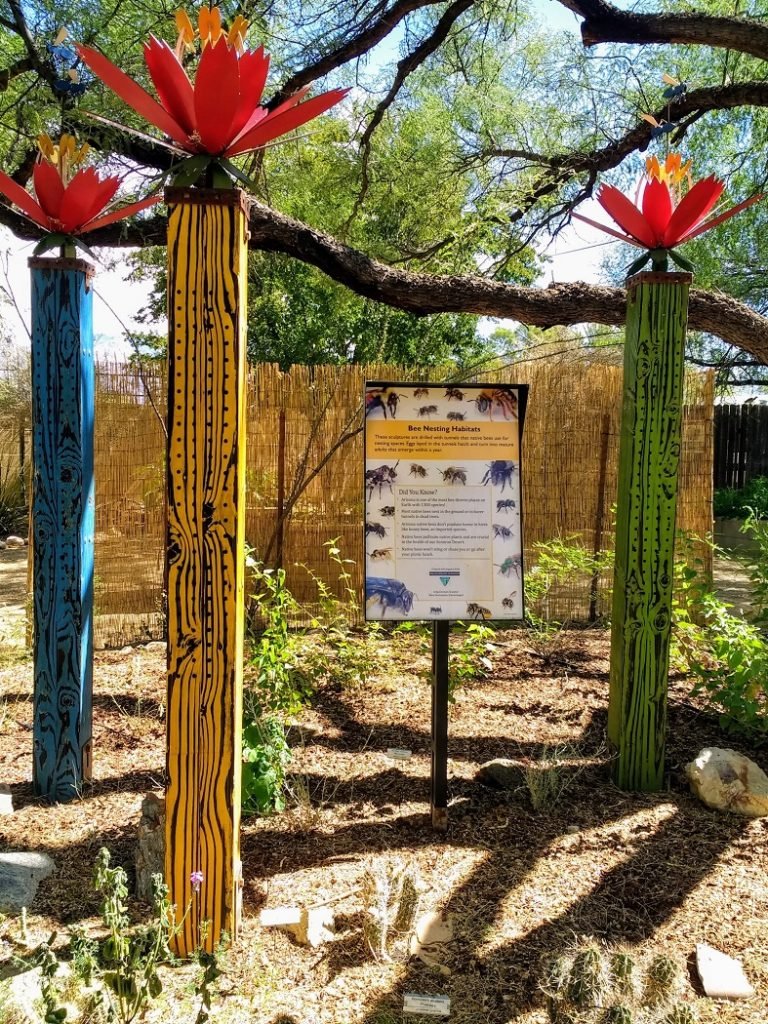 bee houses Tucson Botanical garden