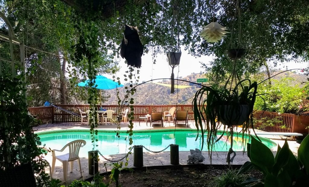 pool overlooking the canyon