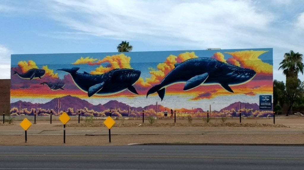 whale mural Tucson Arizona